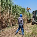 La sostenibilidad de la agroindustria de la caña de azúcar, se alcanzará sí se concentra en tres pilares.